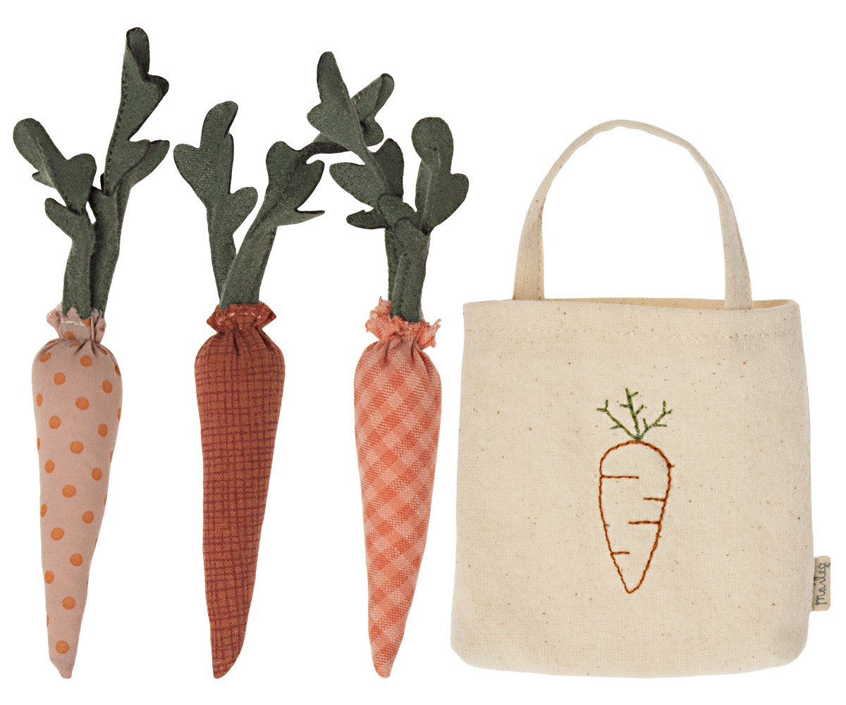 Carrots in Shopping Bag - HoneyBug