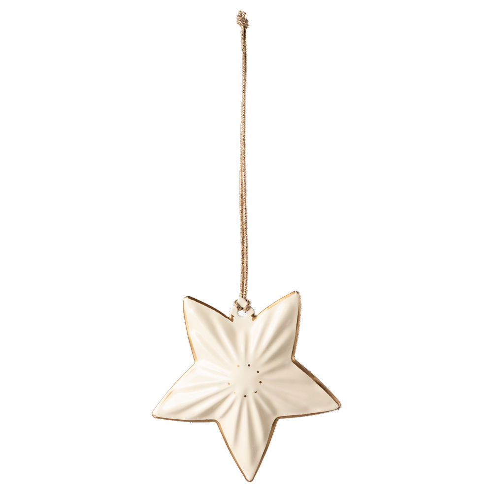 Metal Ornament, Star - HoneyBug