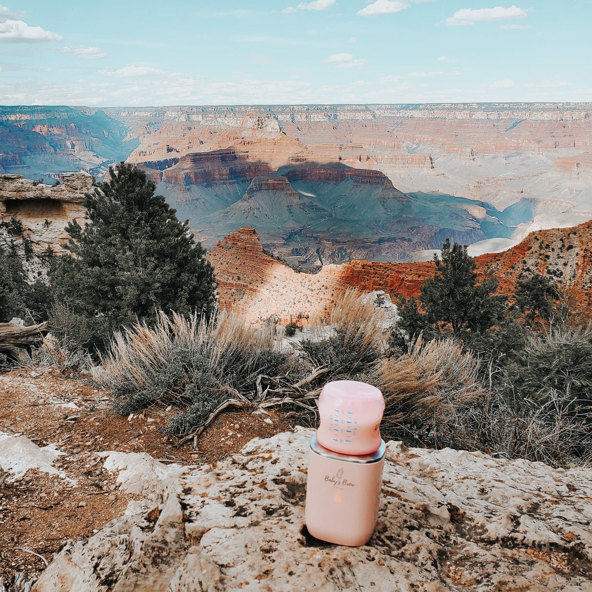 Pink 3.0 Portable Bottle Warmer Adapter Set (Warmer + Four Adapters)