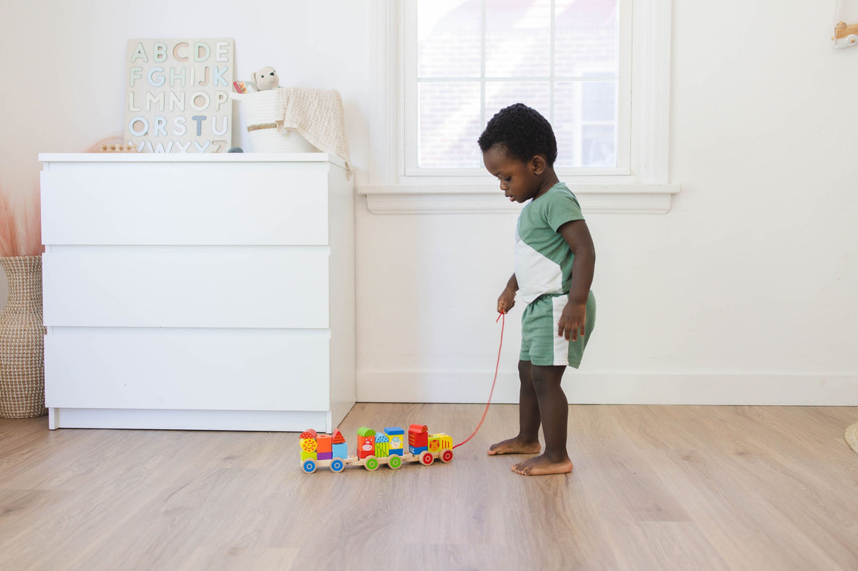 Farm Wooden Stacking Train