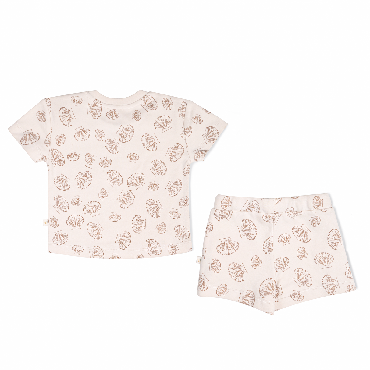 Organic Baby Toddler Tee and Shorts Set - Seashells - HoneyBug