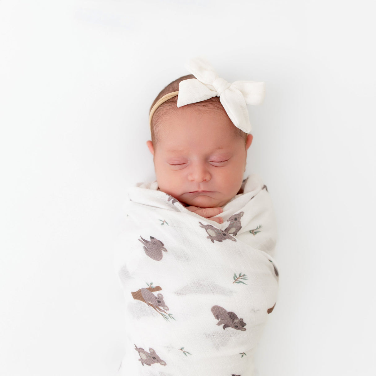 Koala Swaddle - HoneyBug