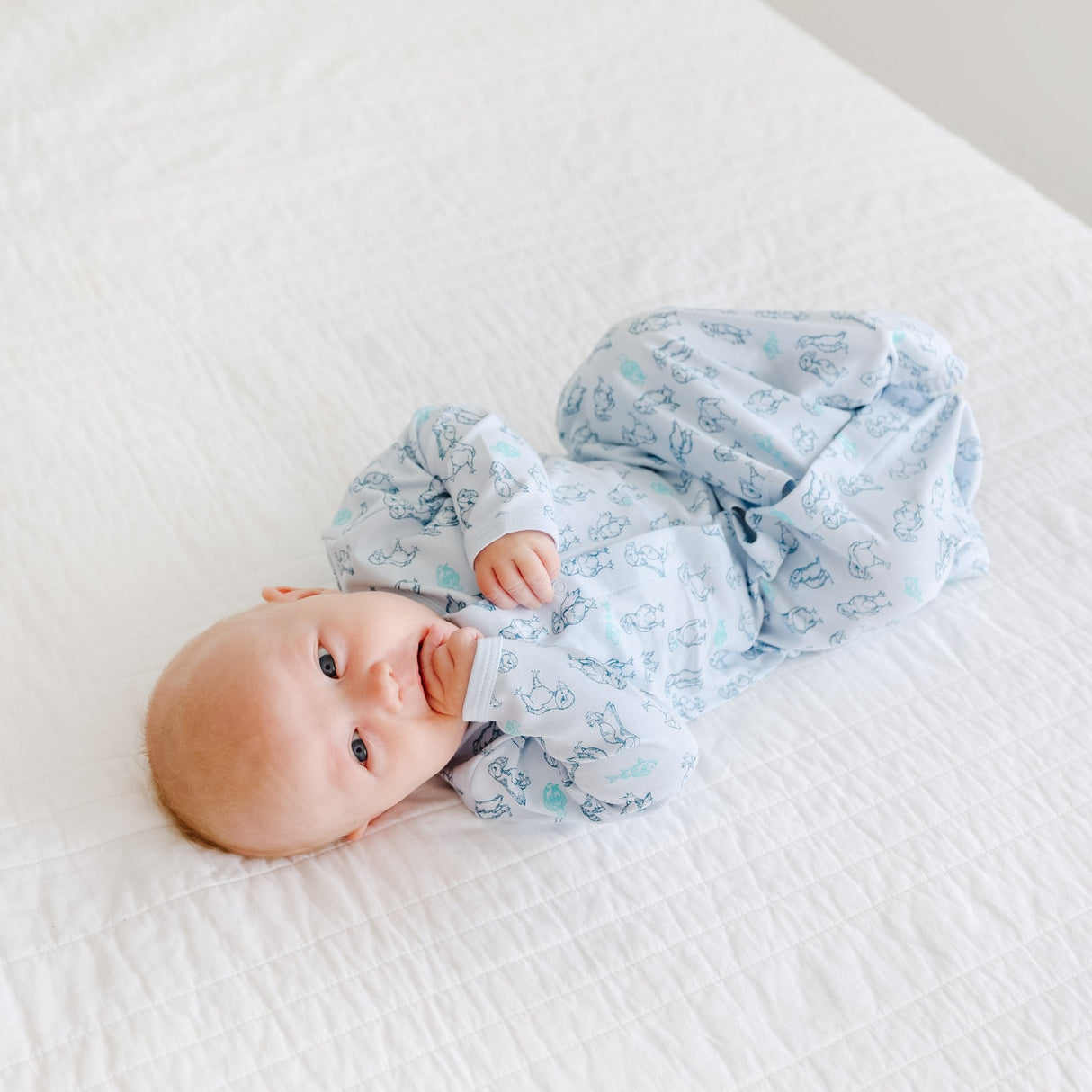 Puffin Print Converter - HoneyBug