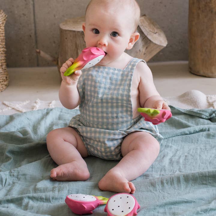 Fucsia the Dragonfruit - HoneyBug