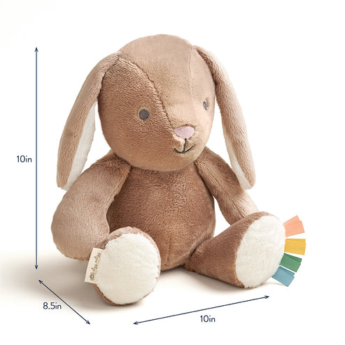 Sweetie Snuggles™ Plush - Billie the Bunny - HoneyBug