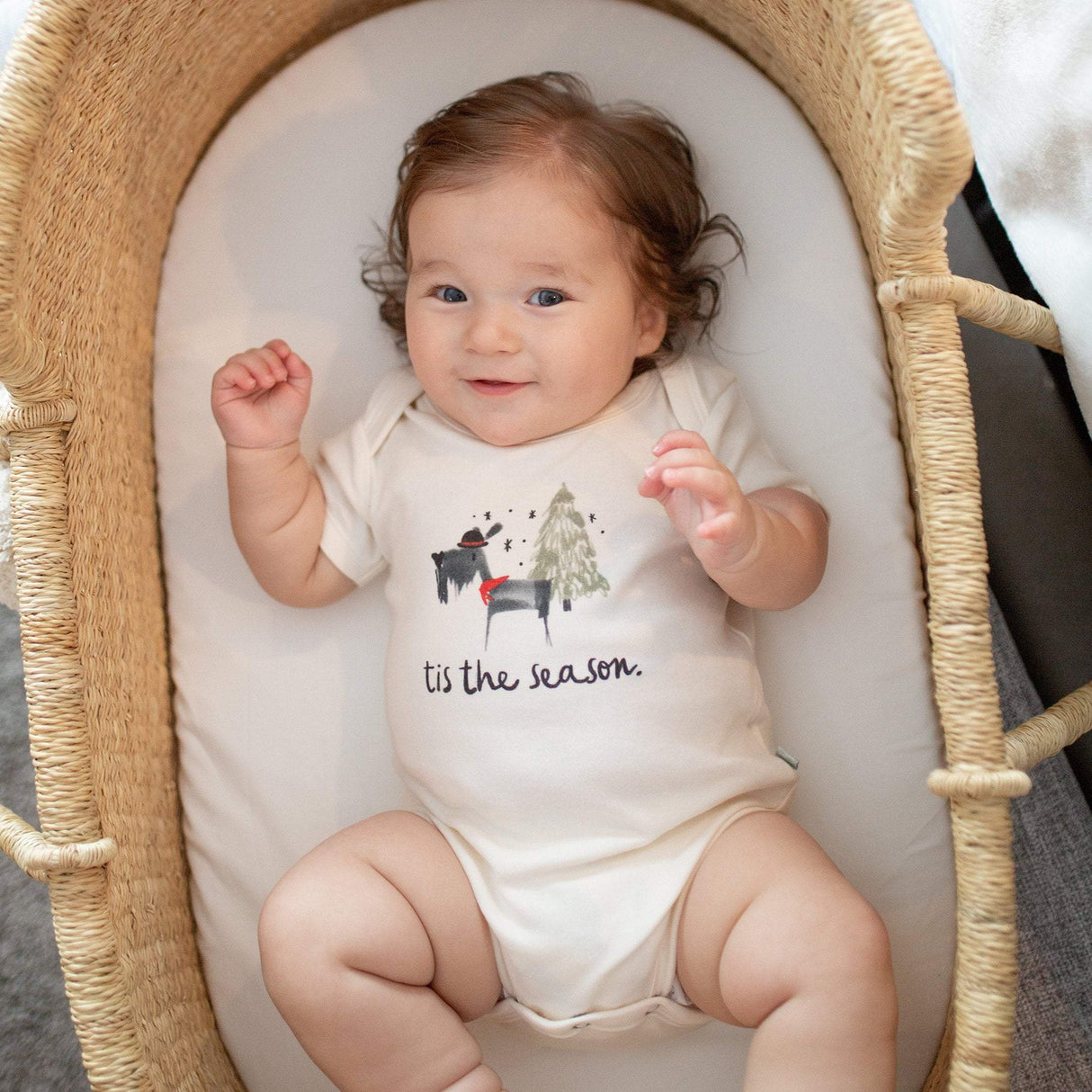 graphic bodysuit | tis the season - HoneyBug