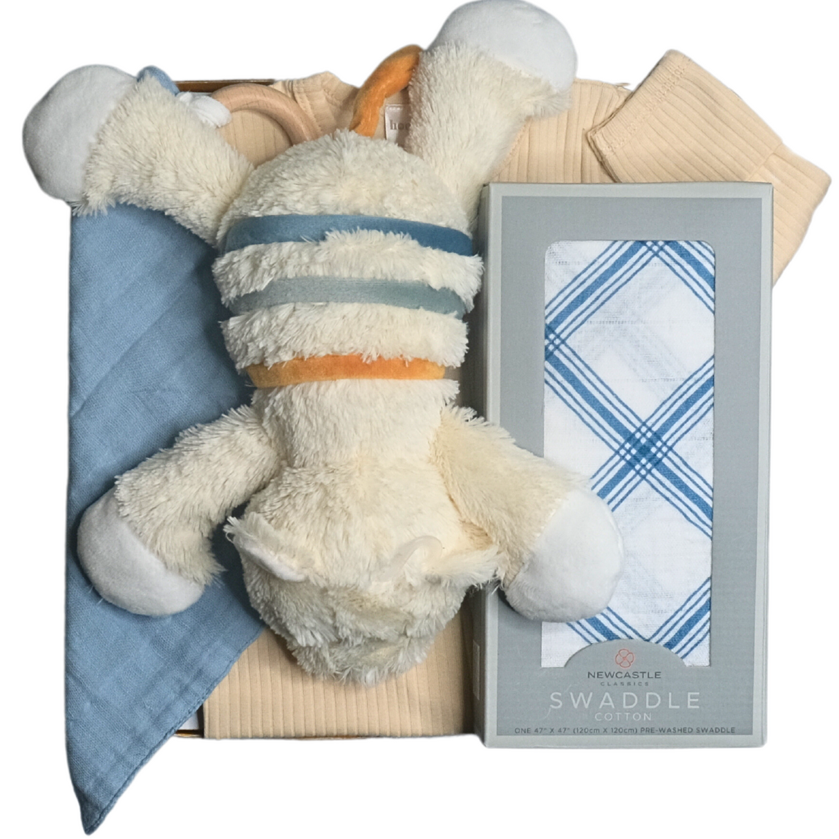 Blue Stripe Bear Gift Box - HoneyBug