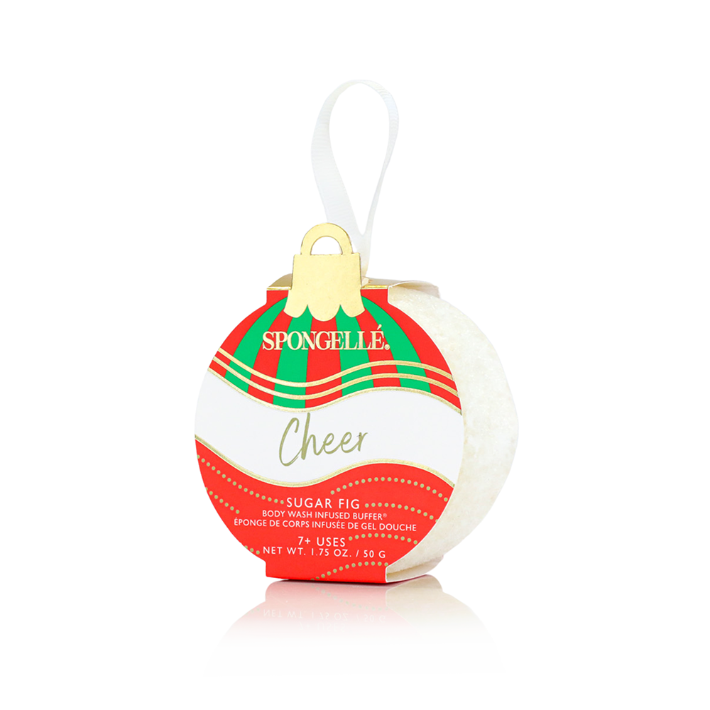 Celebrate the Season | Holiday Ornament Gift Set - HoneyBug