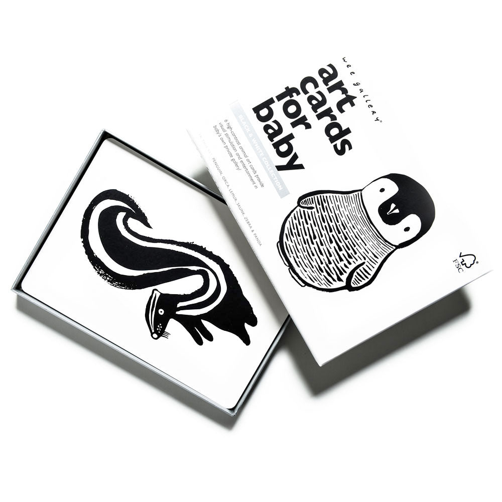 Art Cards for Baby - Black and White Collection - HoneyBug