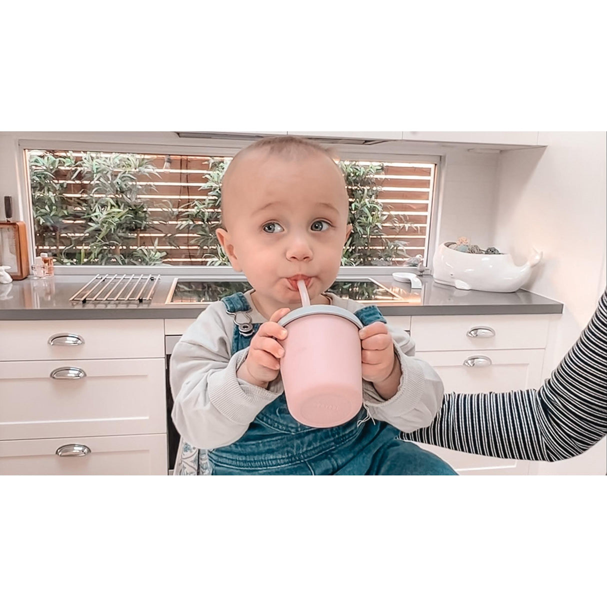 Haakaa Jolly Hippo Silicone Sippy Cup 1 pk - HoneyBug