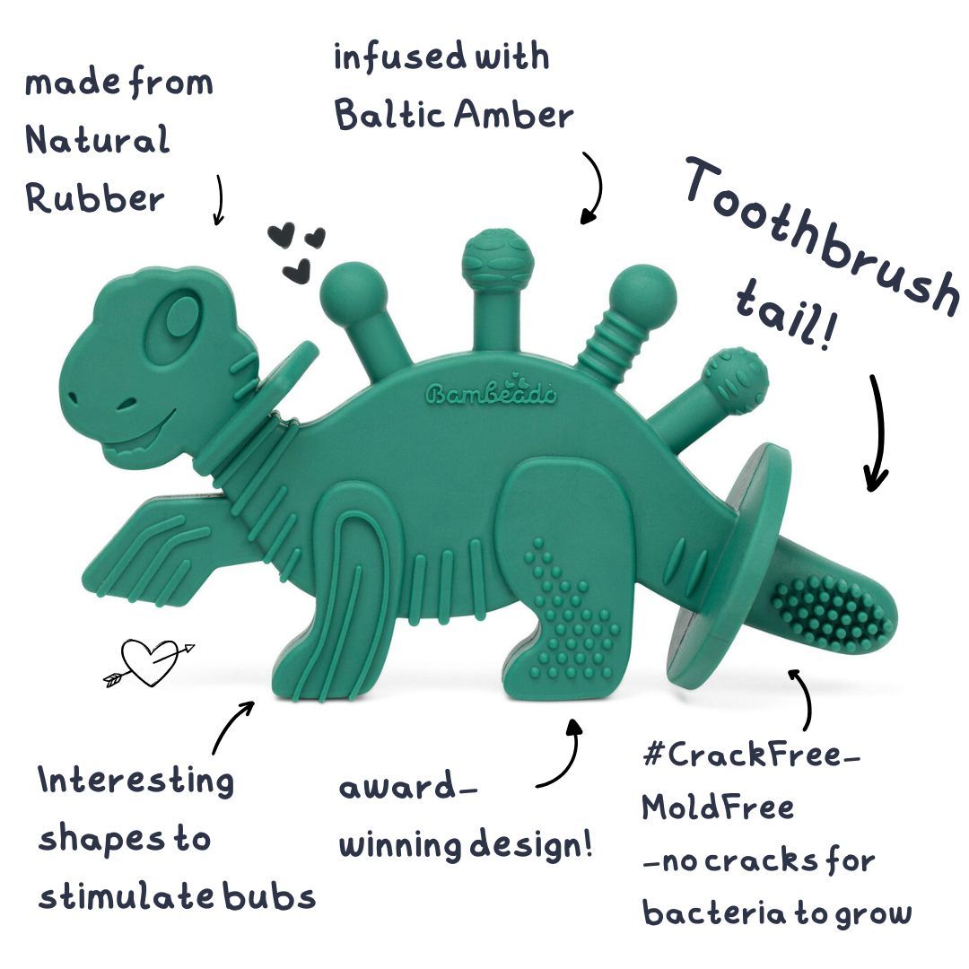 Dibly - Green - Baltic Amber & Natural Rubber Dinosaur Teether with Toothbrush Tail- - HoneyBug