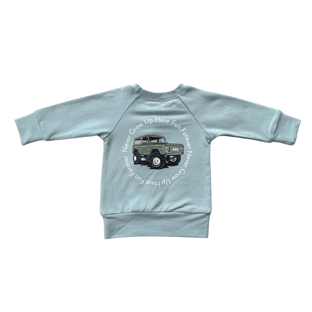 Boy's Raglan Sweatshirt - HoneyBug