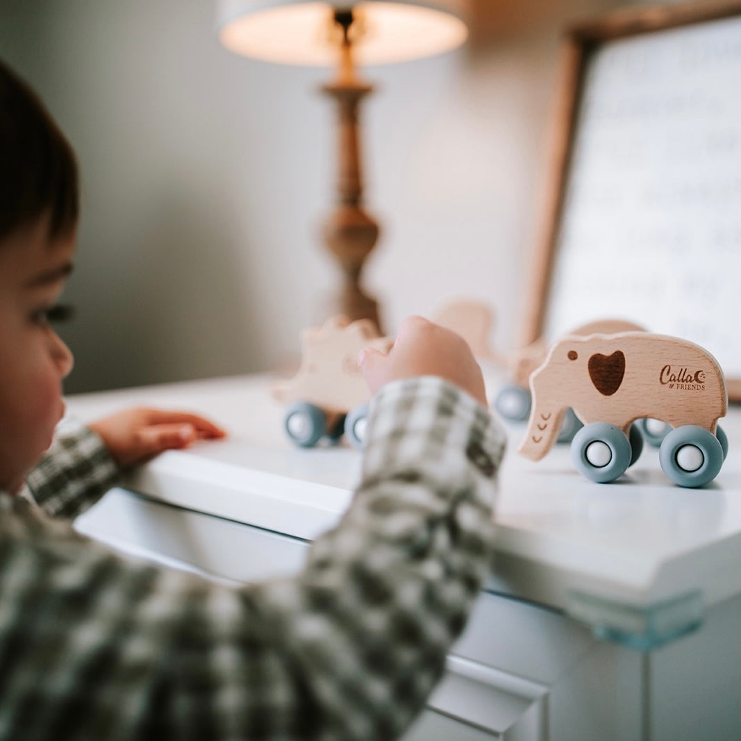 Beechwood Rollin’ Friends - Elephant