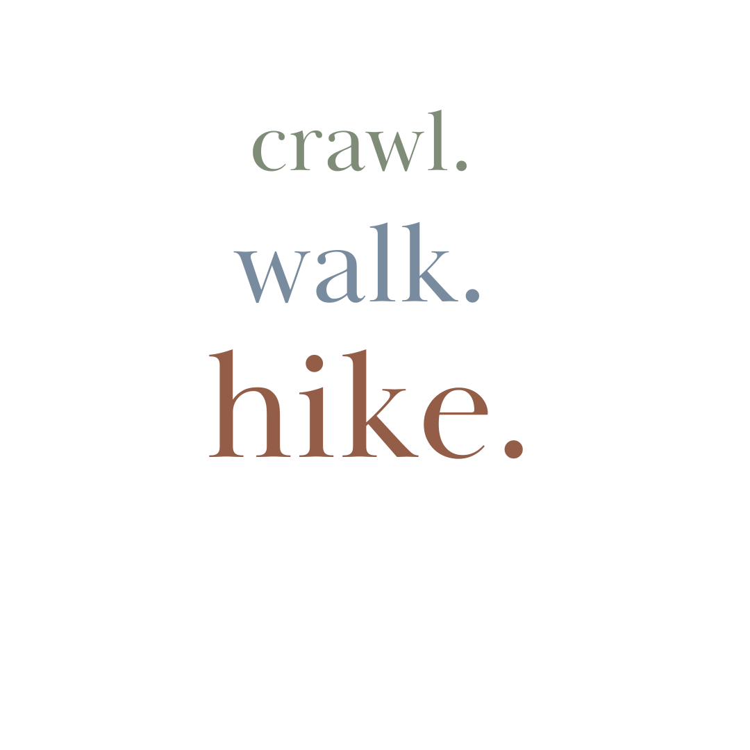 graphic bodysuit | crawl walk hike - HoneyBug