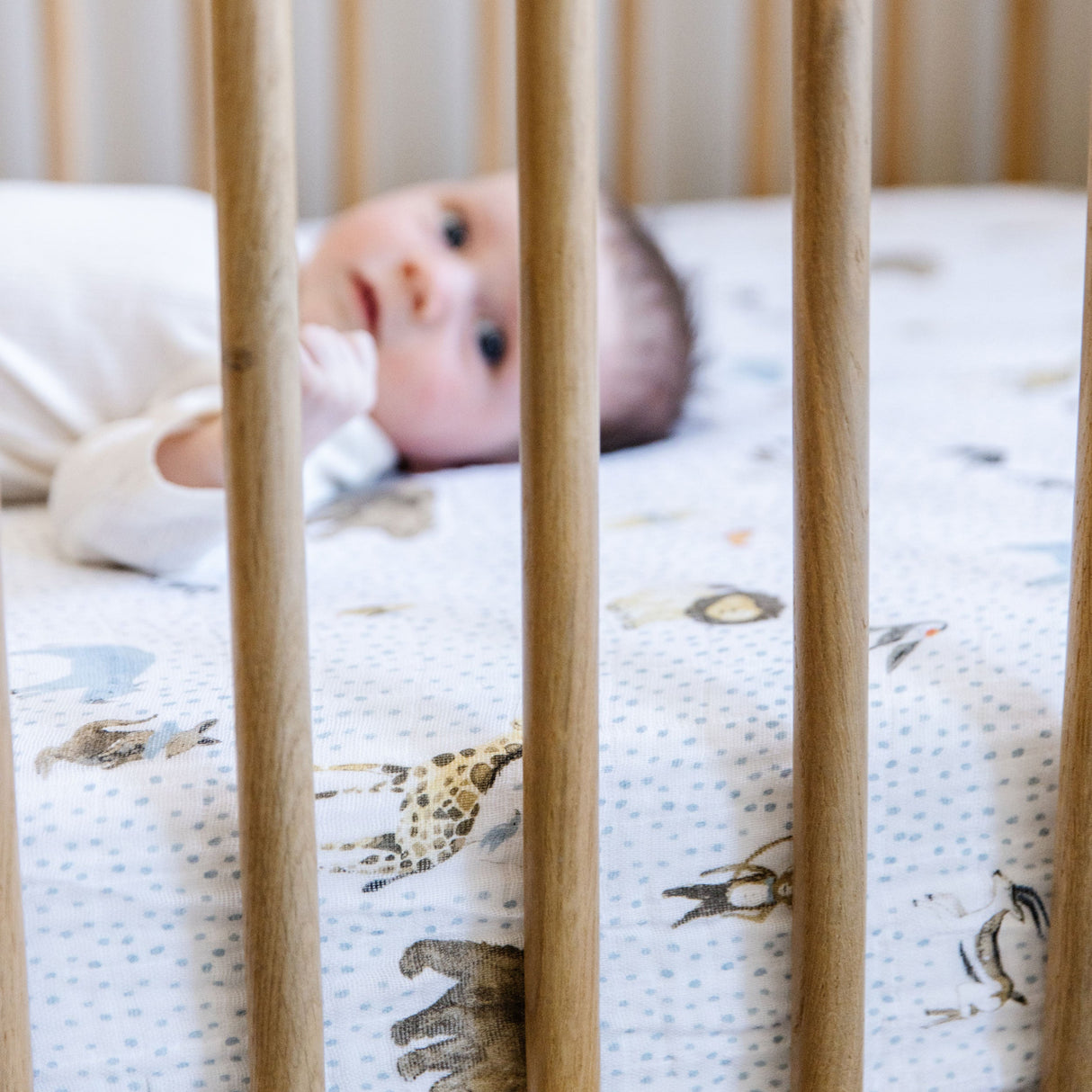 Cotton Muslin Crib Sheet - Party Animals - HoneyBug