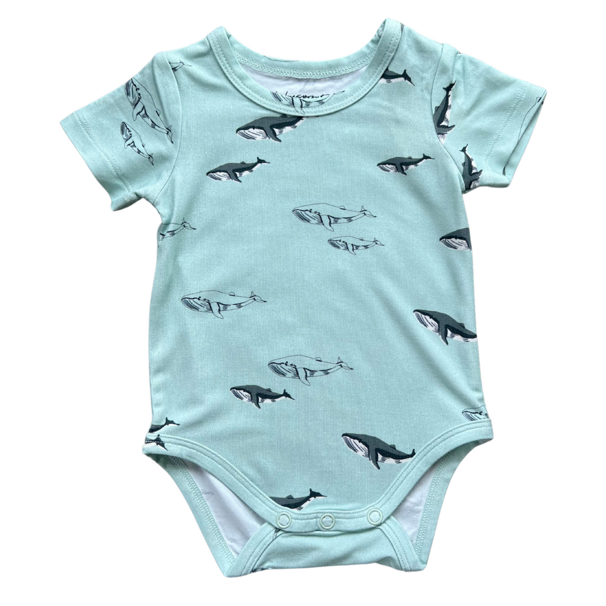 Baby Short Sleeve Bodysuit - HoneyBug