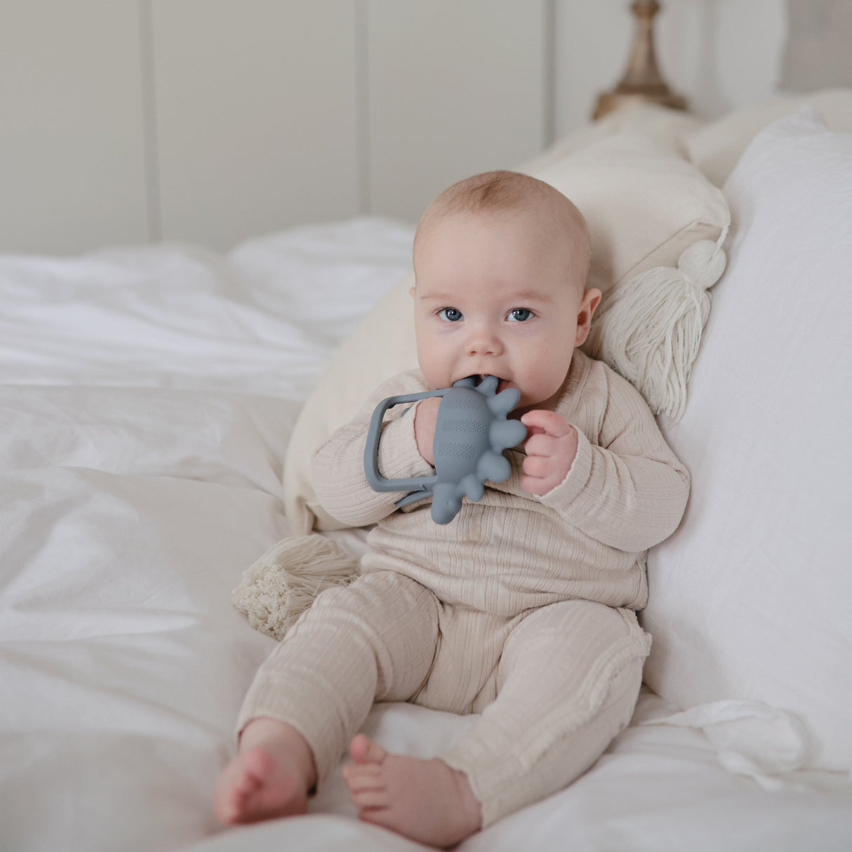 No-Drop Dino Teether (Tradewinds) - HoneyBug