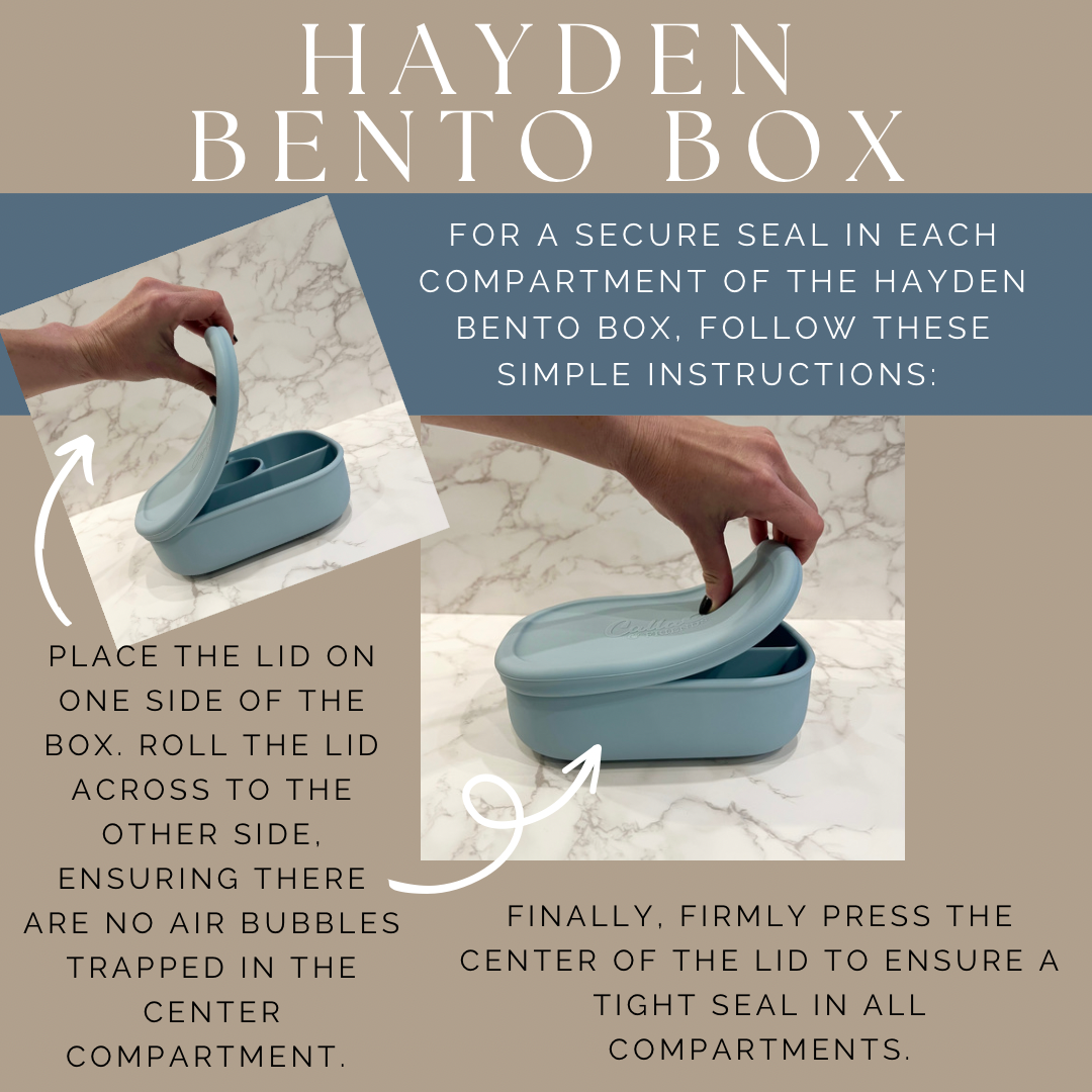 Hayden Bento Box - Trucks & Digger