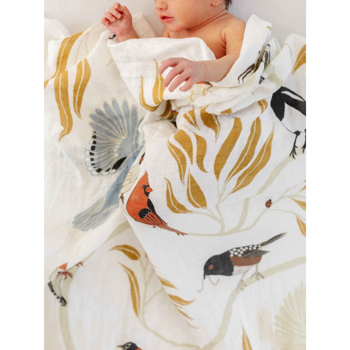 For the Birds Swaddle - HoneyBug