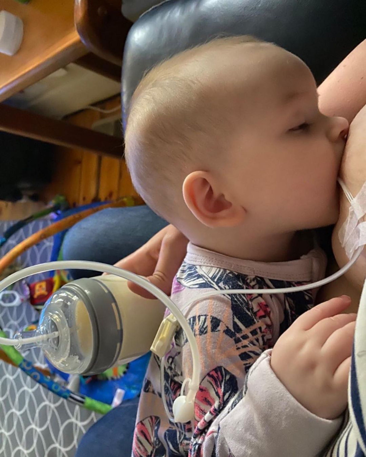 Supplemental Feeding Combo - HoneyBug