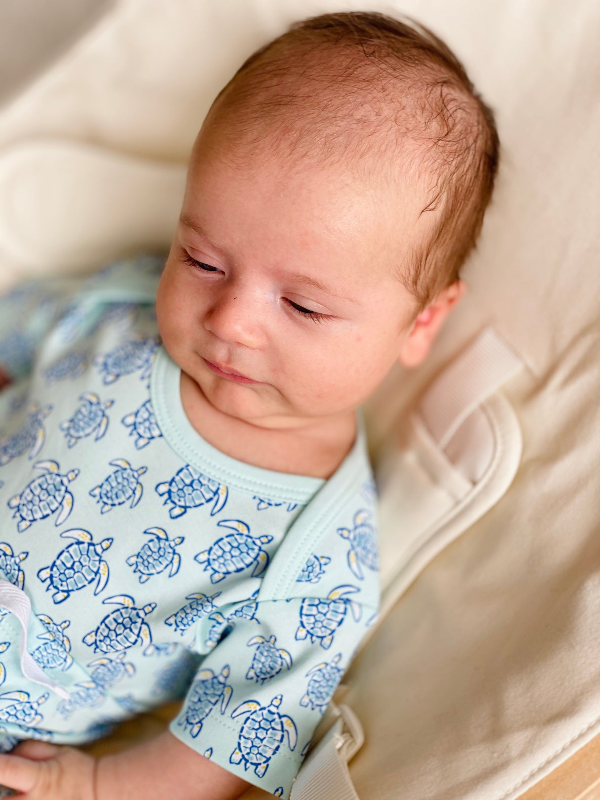 Blue Sea Turtle Short Sleeve Onesie - HoneyBug