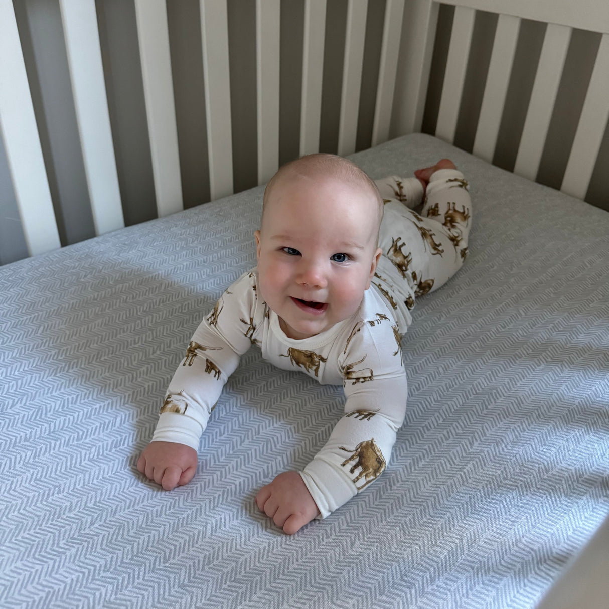 Long Sleeve 2 piece Bamboo Pajama Set - HoneyBug