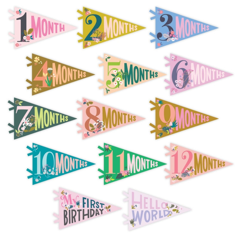 Little Artist Petit Milestone Pennants - HoneyBug