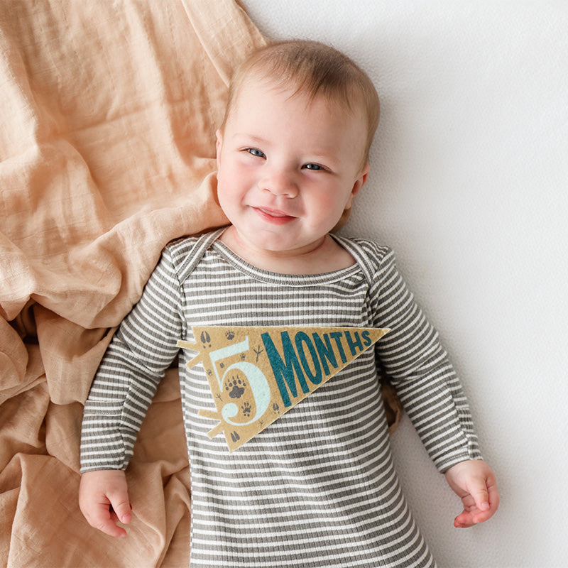 Little Camper Petit Milestone Pennants - HoneyBug