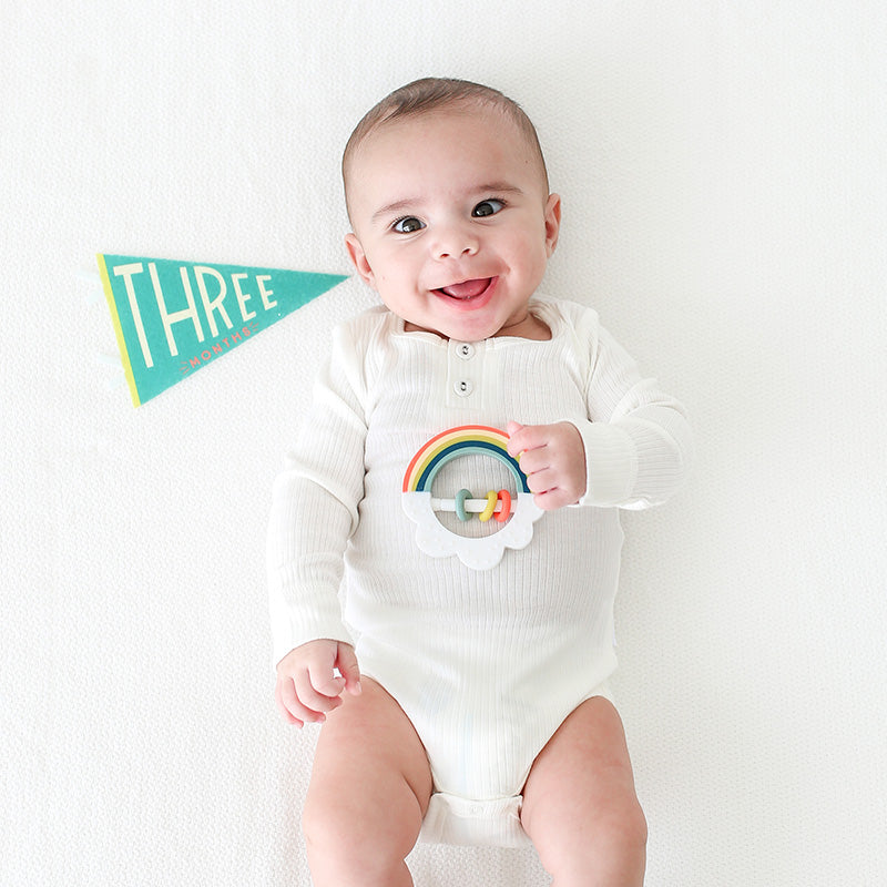 Little Kaleidoscope Petit Milestone Pennants - HoneyBug