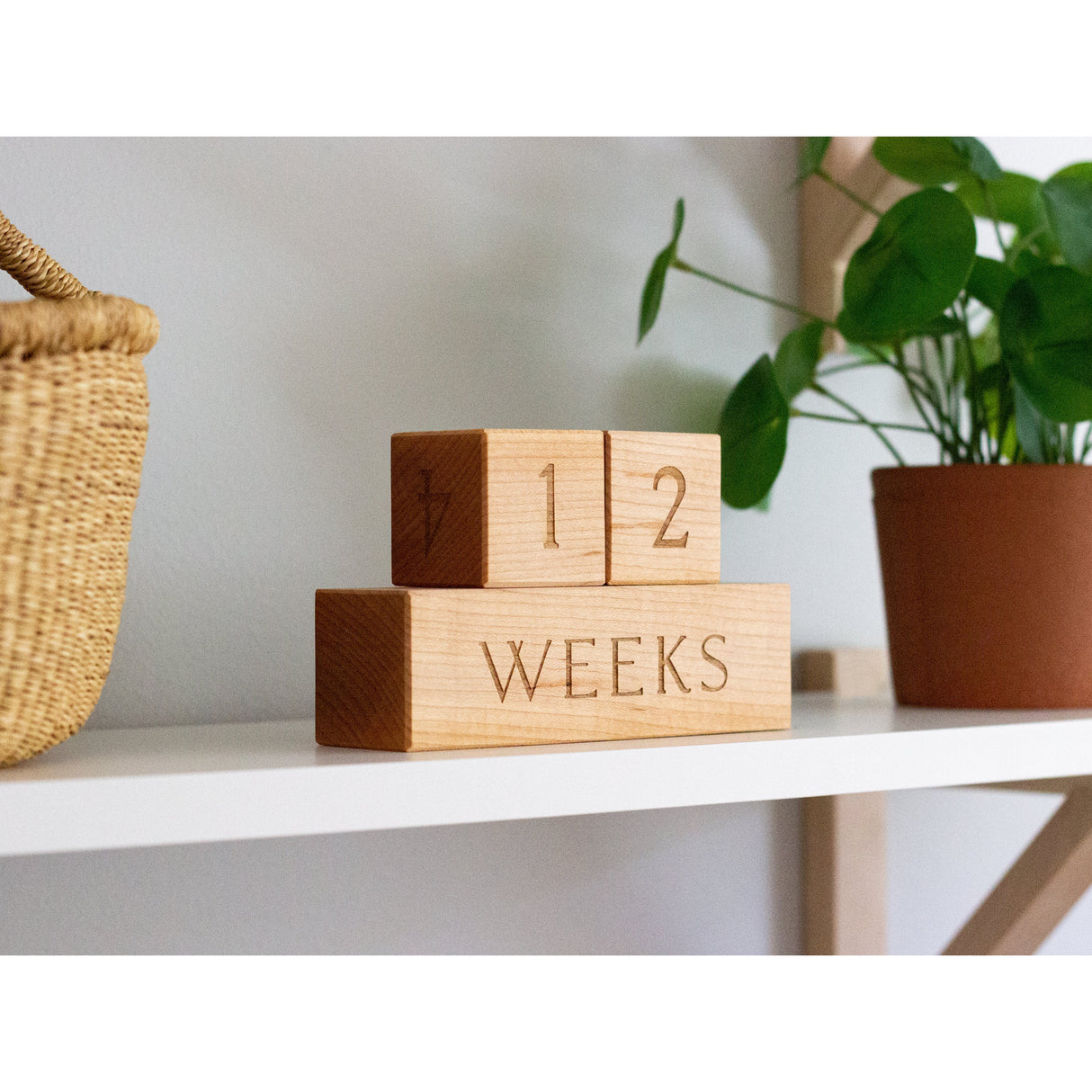 Modern Wooden Milestone Blocks - HoneyBug