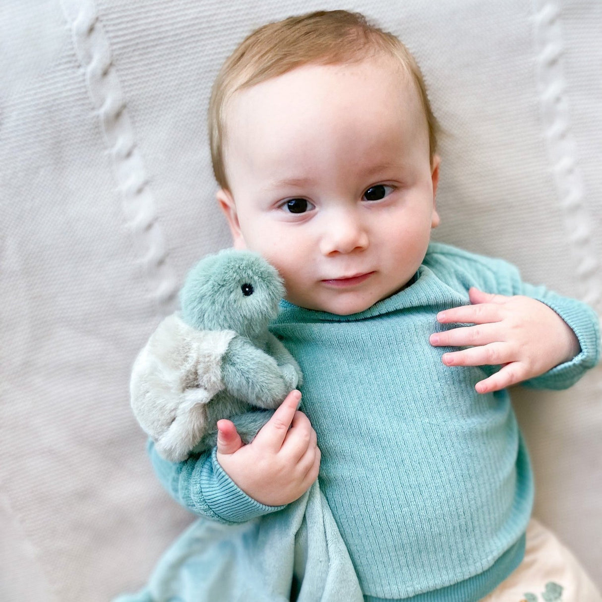 Turtle Time Gift Box - HoneyBug