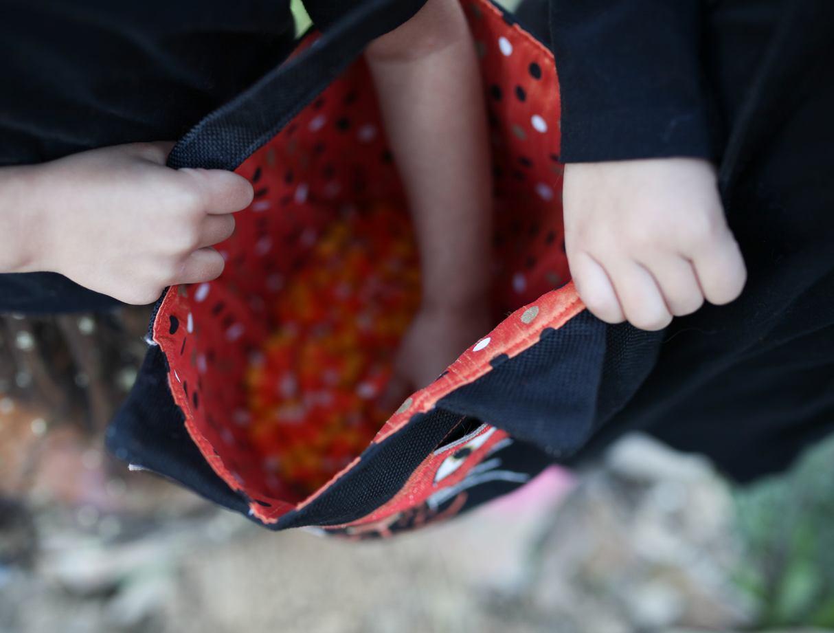 Cat Halloween Bag - HoneyBug