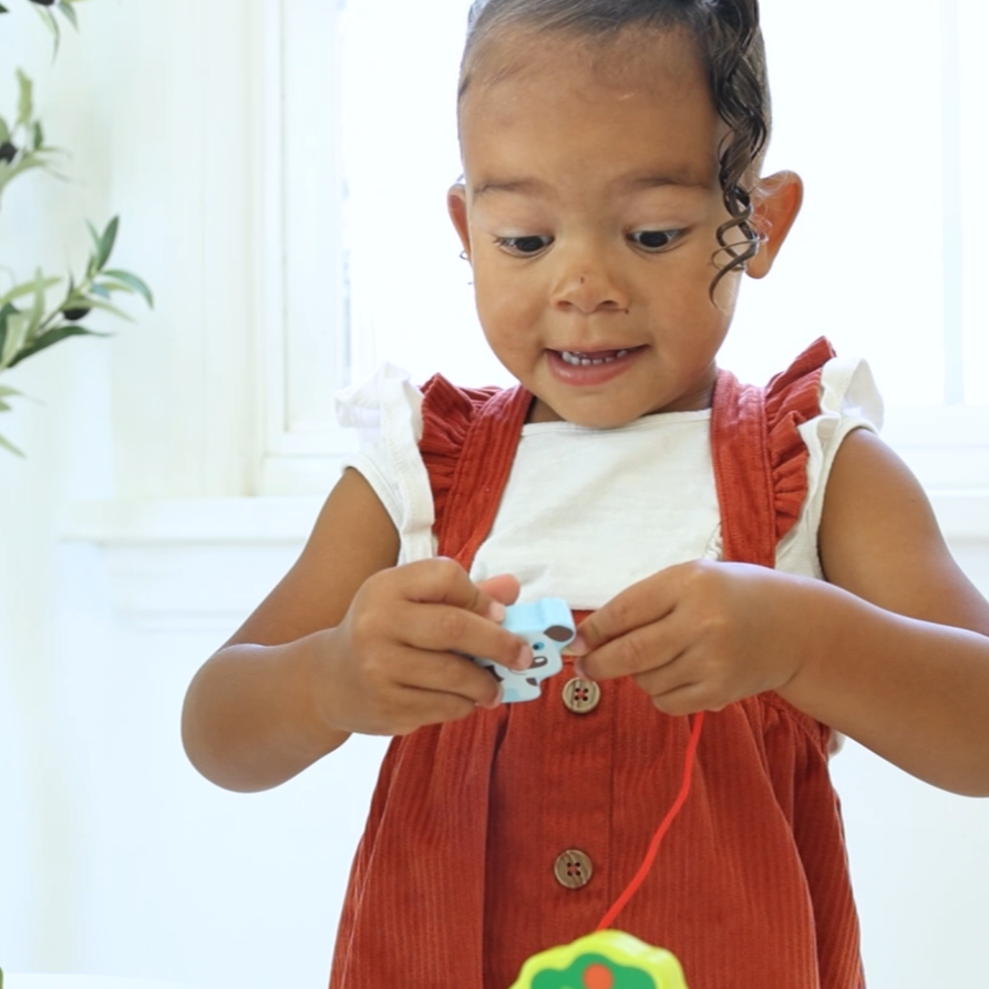 Farm Play Set Lacing Toy