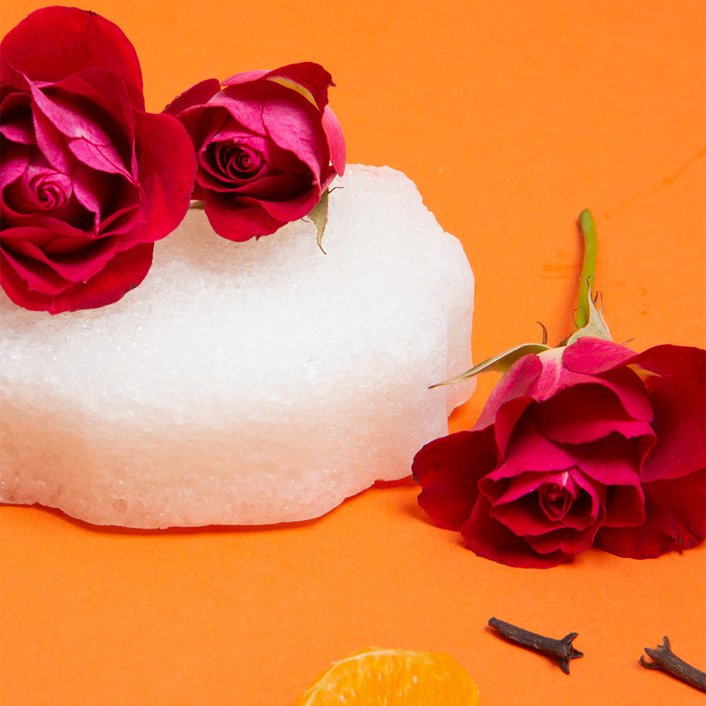 Bulgarian Rose | Pedi Buffer - HoneyBug