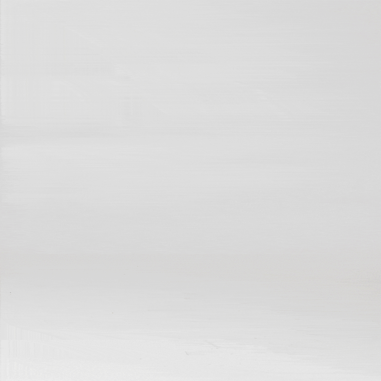 Polar Animals - HoneyBug