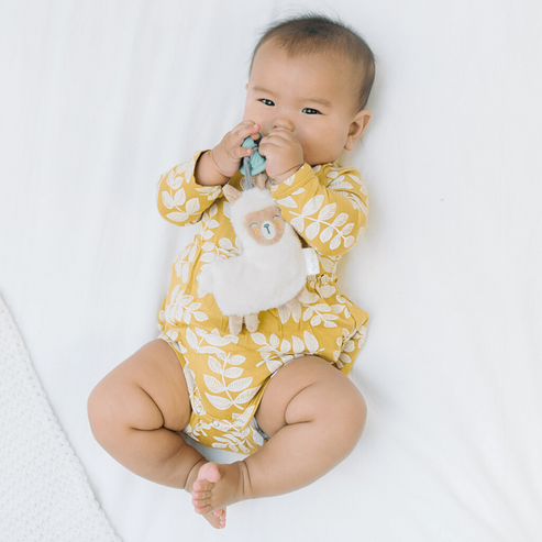 Sweetie Pal™ Plush & Pacifier - Llama - HoneyBug