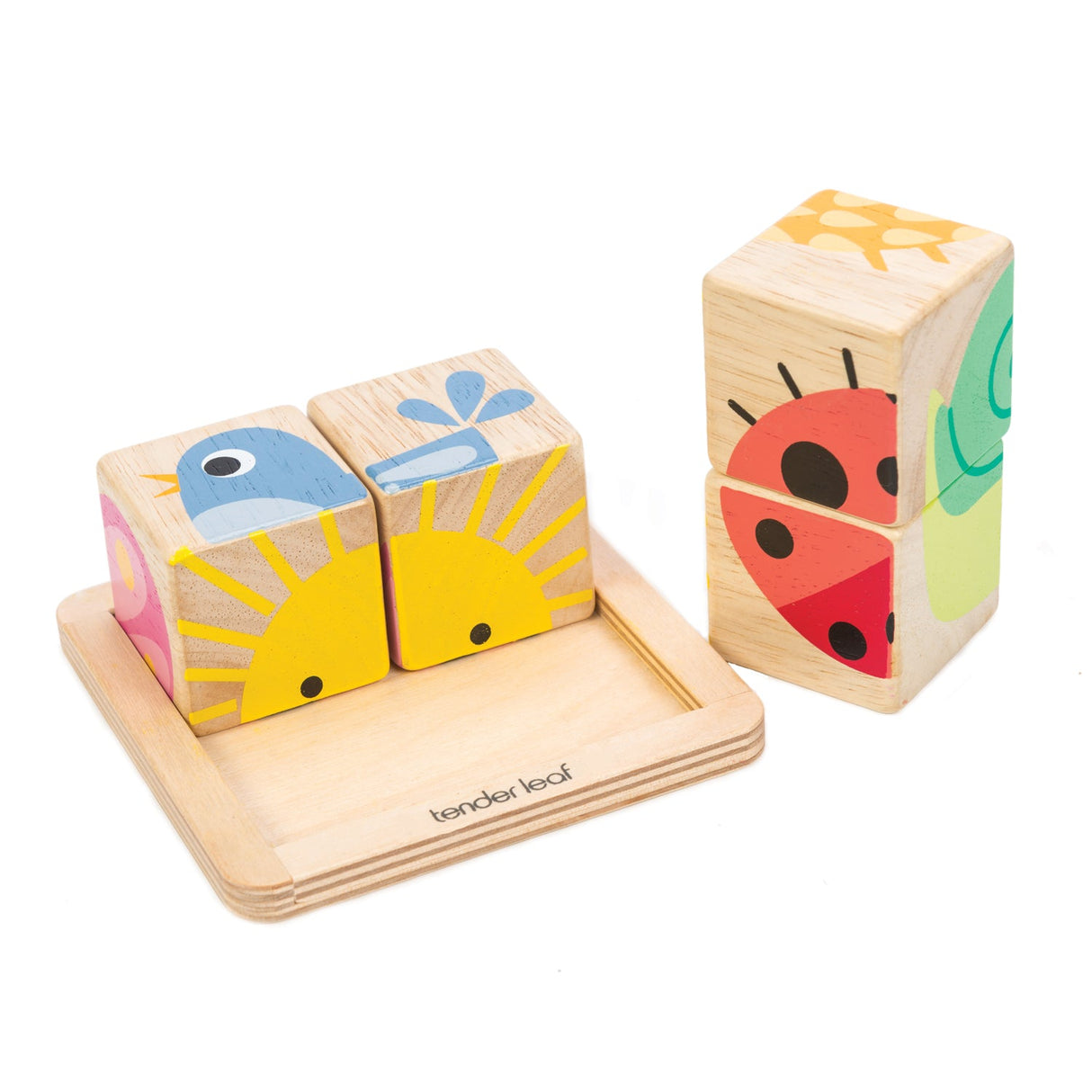 Infant Blocks Collection - HoneyBug