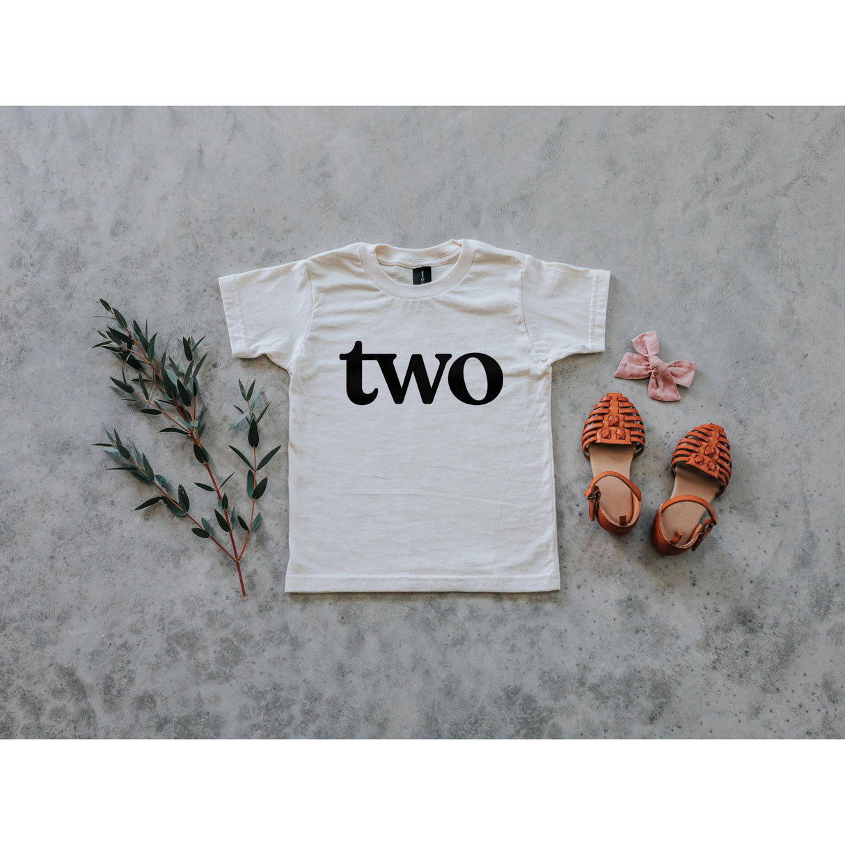 Two Modern Birthday Shirt Organic Kids Tee - HoneyBug