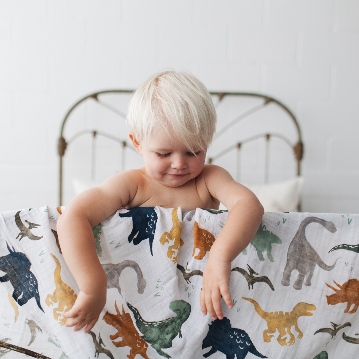 Cotton Muslin Swaddle Blanket - Dino Friends - HoneyBug