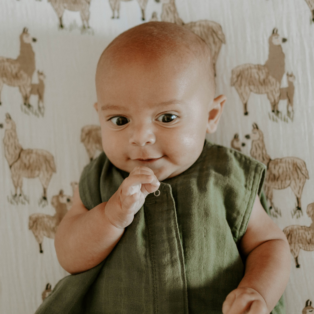 Cotton Muslin Sleep Bag - Fern - HoneyBug