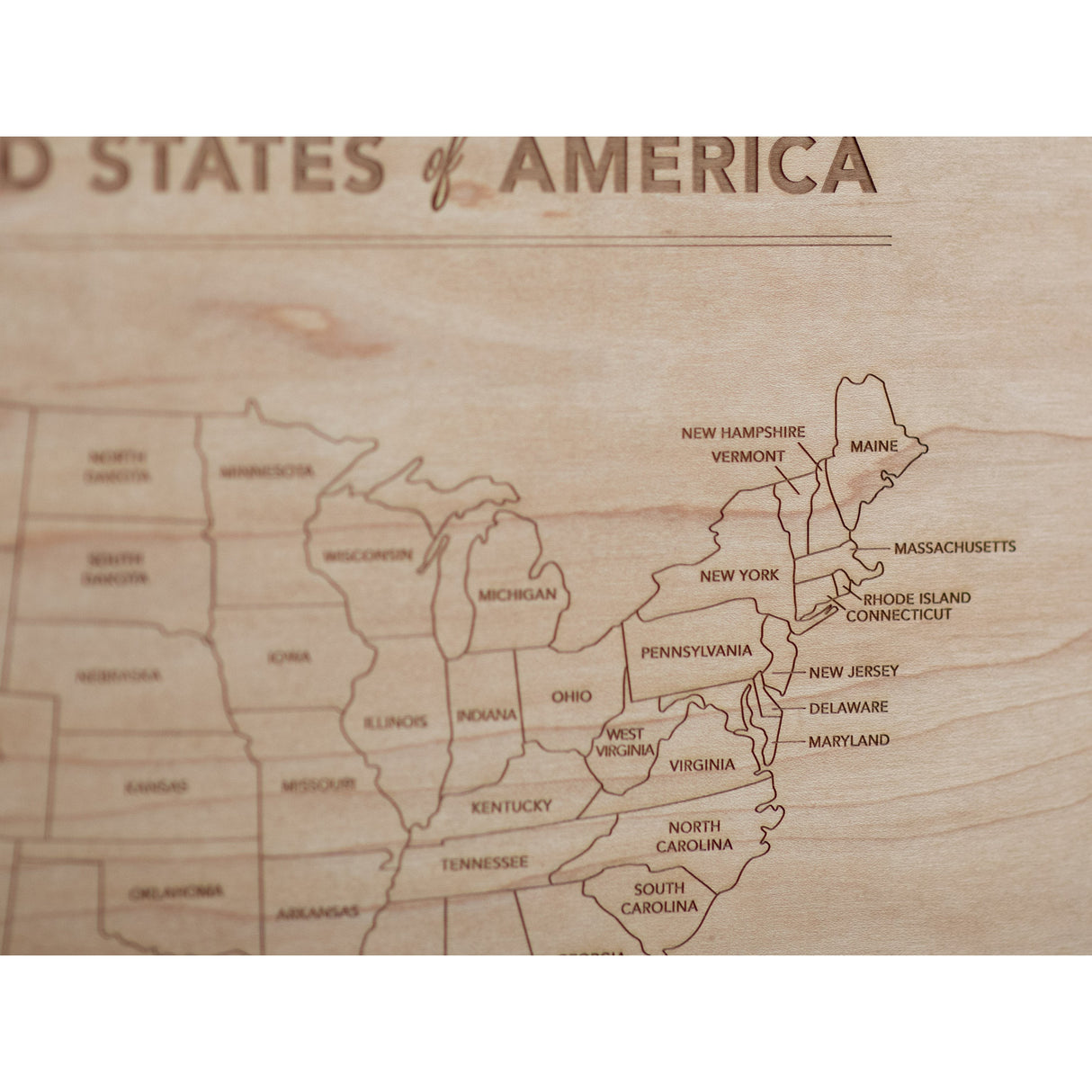 Wooden Map of the United States of America - HoneyBug