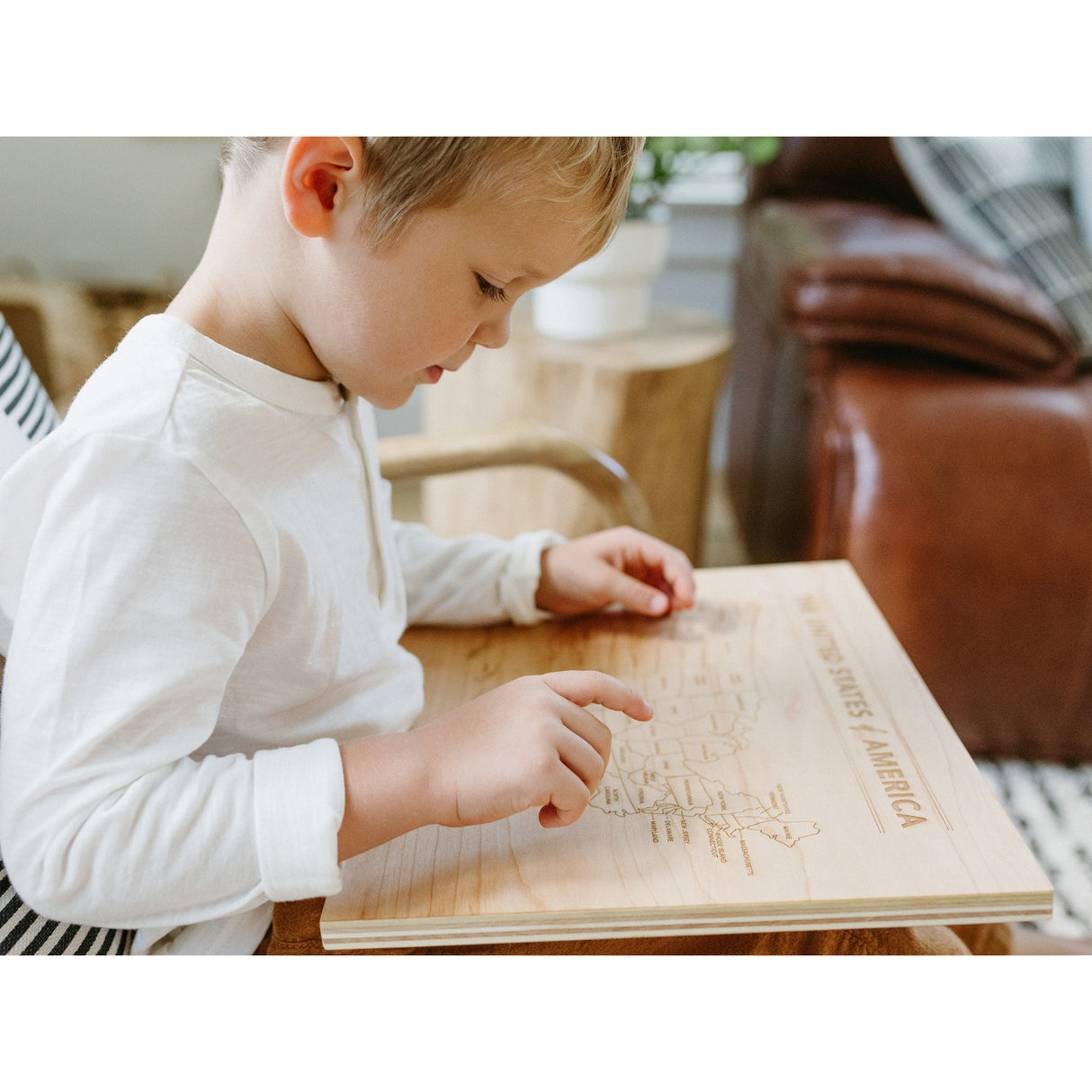 Wooden Map of the United States of America - HoneyBug