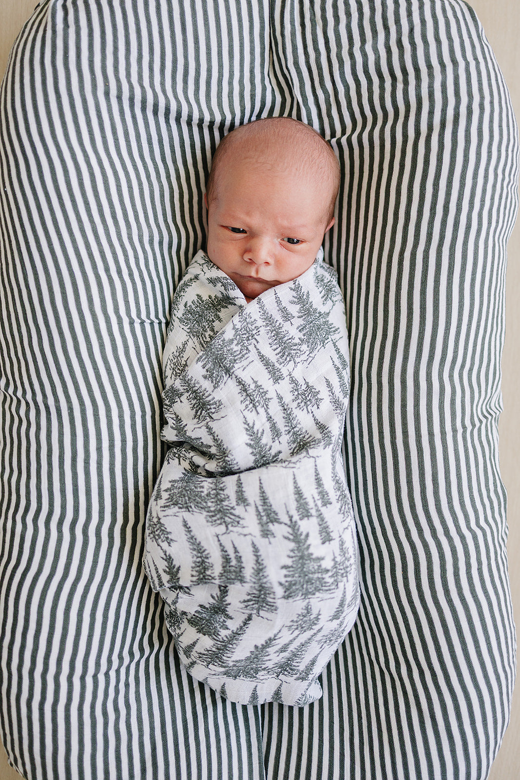 Forest Muslin Swaddle Blanket - HoneyBug