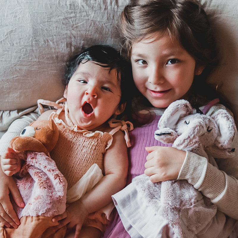 Little Animal Lover Lovey Blanket - HoneyBug