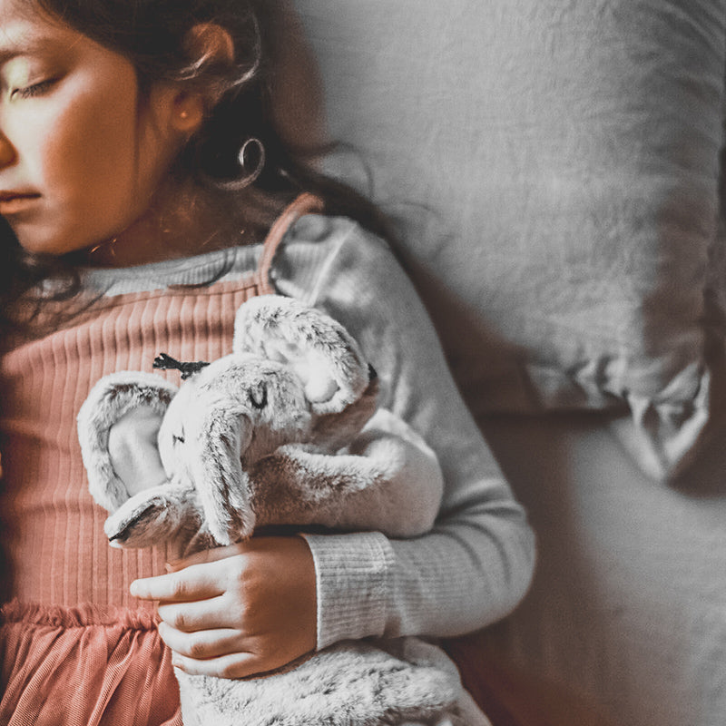 Little Animal Lover Lovey Blanket - HoneyBug