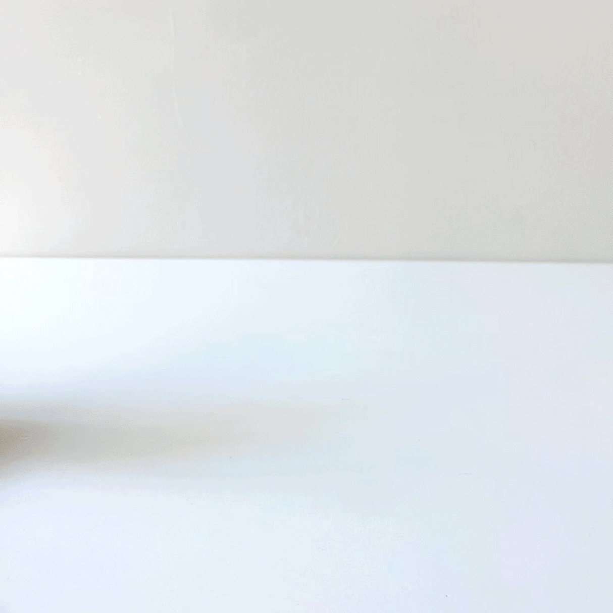 Bunny Push Toy - HoneyBug