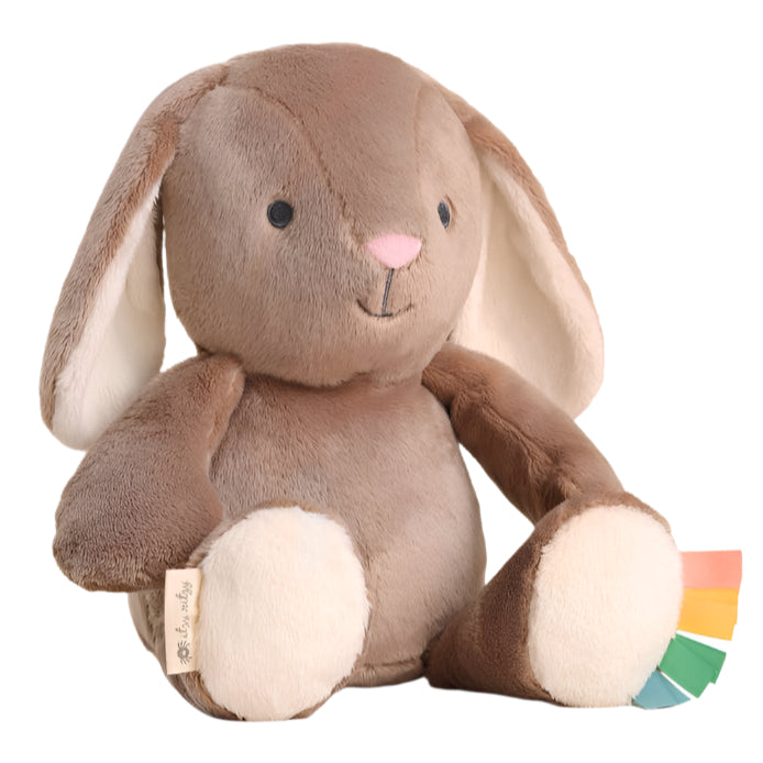 Sweetie Snuggles™ Plush - Billie the Bunny - HoneyBug