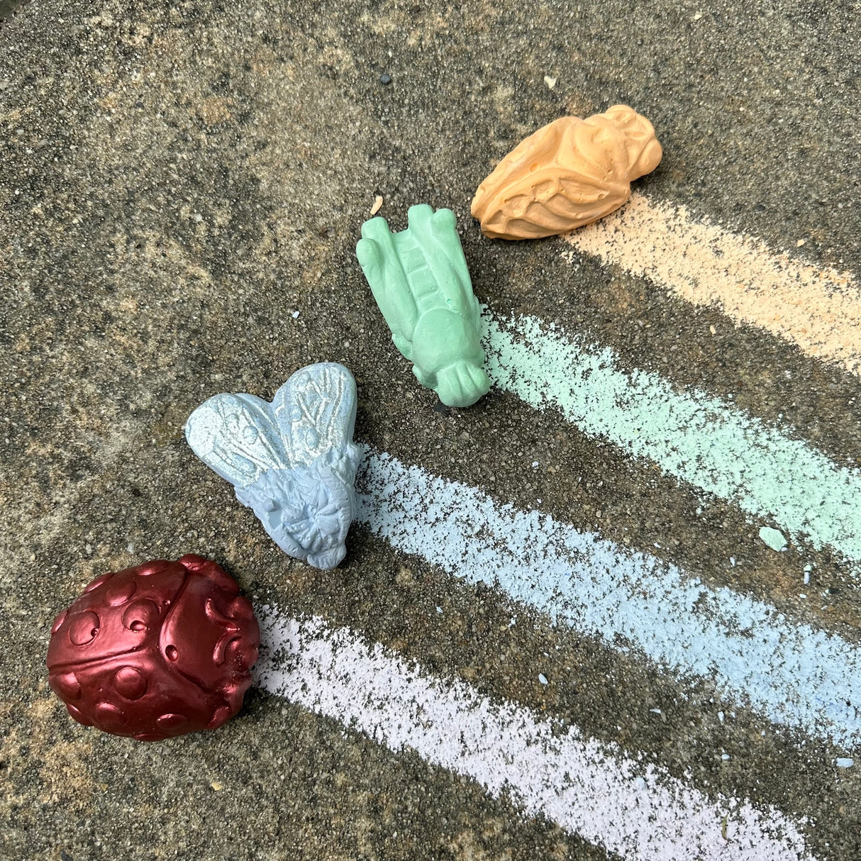 Insectarium Sidewalk Chalk