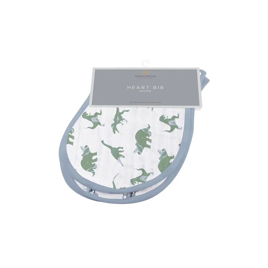 Cuddly Dinosaur Gift Box - HoneyBug