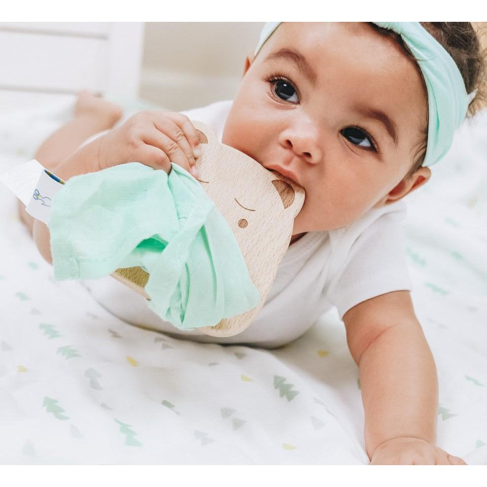 Bear and Mint Wooden Teether & Blankie - HoneyBug